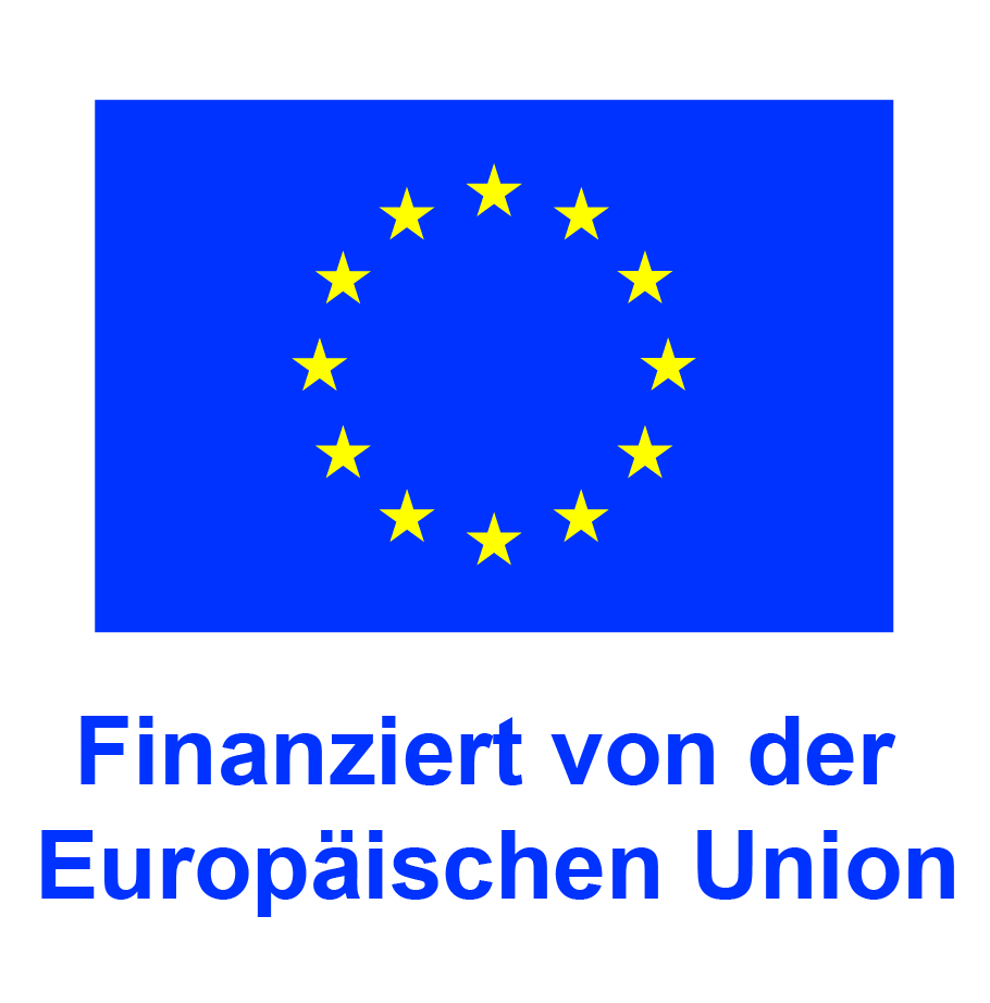 DE Finanziert von der Europäischen Union_POS